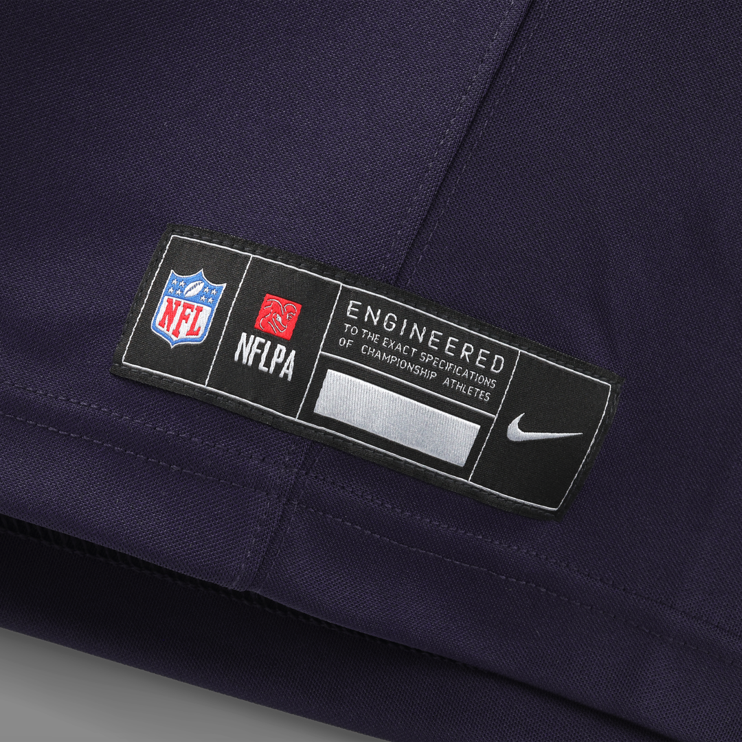 Minnesota Vikings Andrew Van Ginkel Purple 2026 Rivalries Collection Stitched Limited Jersey | NFL Football Jersey